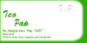 teo pap business card